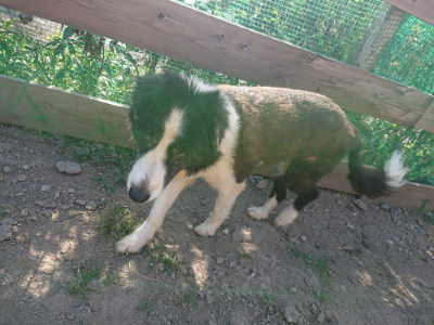 f:id:roukenhome-ann:20190812190949j:plain f:id:roukenhome-ann:20190812190949j:plain