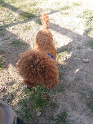 f:id:roukenhome-ann:20190812191005j:plain f:id:roukenhome-ann:20190812191005j:plain
