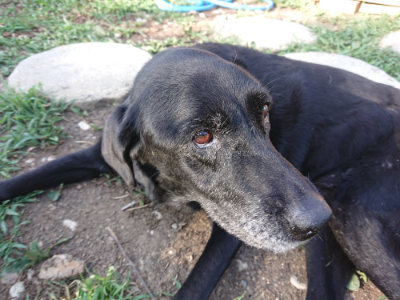 f:id:roukenhome-ann:20190812191109j:plain f:id:roukenhome-ann:20190812191109j:plain