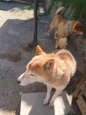 f:id:roukenhome-ann:20190814081004j:plain