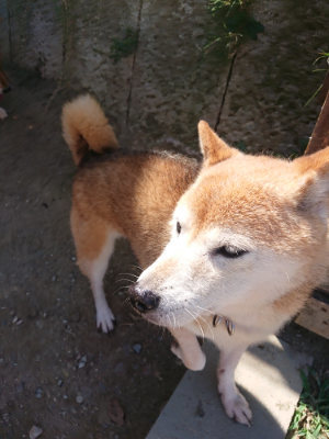 f:id:roukenhome-ann:20190814081017j:plain