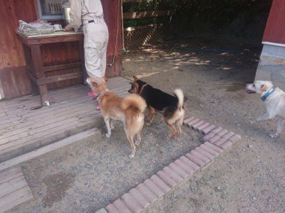 f:id:roukenhome-ann:20190814081234j:plain
