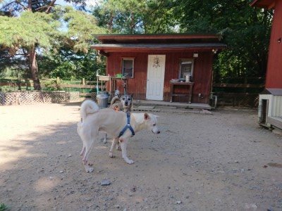 f:id:roukenhome-ann:20190814081840j:plain