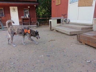 f:id:roukenhome-ann:20190814081846j:plain