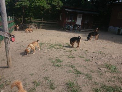 f:id:roukenhome-ann:20190814081958j:plain
