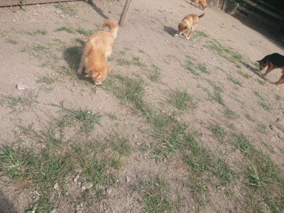 f:id:roukenhome-ann:20190814082019j:plain