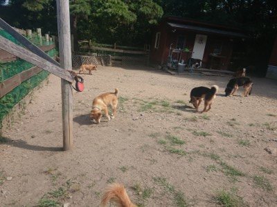 f:id:roukenhome-ann:20190814082046j:plain