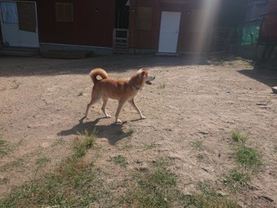 f:id:roukenhome-ann:20190814082051j:plain