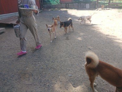 f:id:roukenhome-ann:20190814105436j:plain