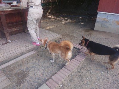f:id:roukenhome-ann:20190814105502j:plain