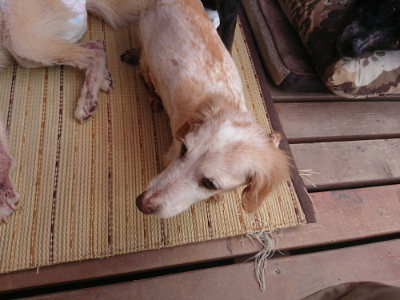 f:id:roukenhome-ann:20190814105553j:plain