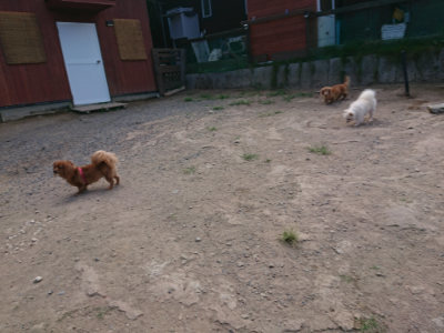 f:id:roukenhome-ann:20190814110707j:plain