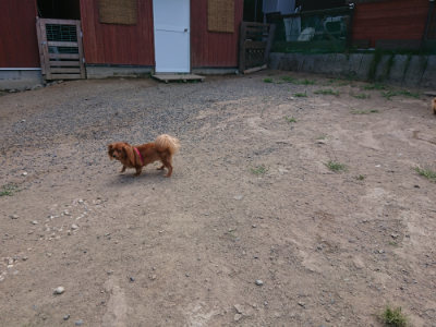 f:id:roukenhome-ann:20190814110917j:plain