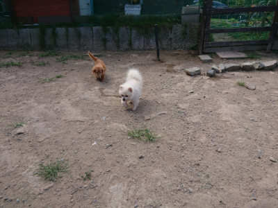 f:id:roukenhome-ann:20190814110940j:plain