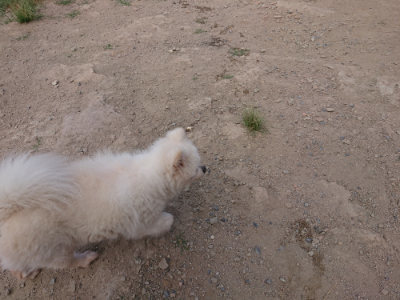 f:id:roukenhome-ann:20190814111211j:plain