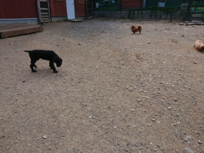 f:id:roukenhome-ann:20190814111249j:plain