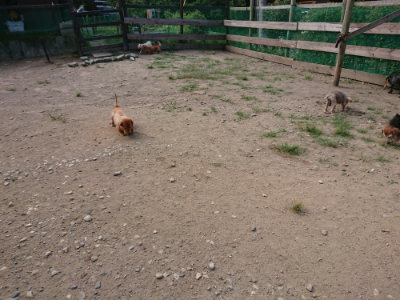 f:id:roukenhome-ann:20190814111256j:plain