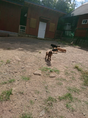 f:id:roukenhome-ann:20190814111310j:plain