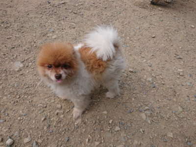 f:id:roukenhome-ann:20190814111427j:plain