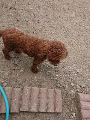 f:id:roukenhome-ann:20190814111447j:plain