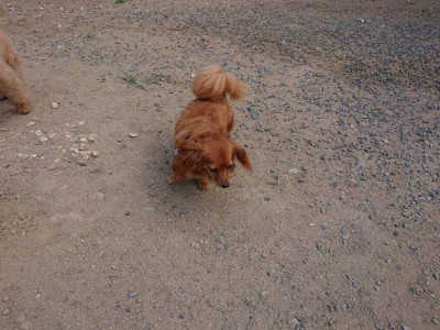 f:id:roukenhome-ann:20190814111517j:plain