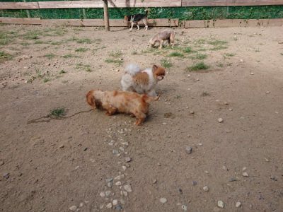 f:id:roukenhome-ann:20190814111627j:plain