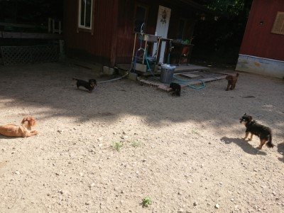f:id:roukenhome-ann:20190814111704j:plain