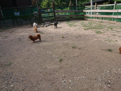f:id:roukenhome-ann:20190814111734j:plain