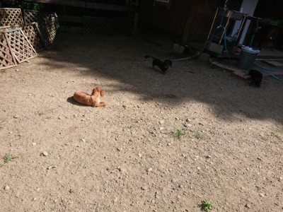 f:id:roukenhome-ann:20190814111746j:plain