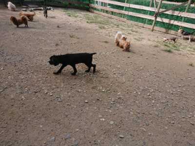 f:id:roukenhome-ann:20190814111828j:plain