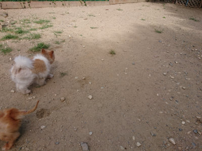 f:id:roukenhome-ann:20190814111847j:plain