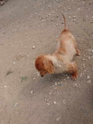 f:id:roukenhome-ann:20190814111903j:plain