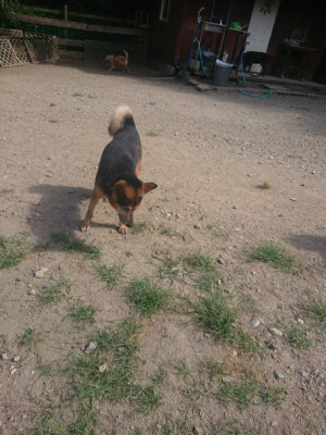 f:id:roukenhome-ann:20190814112051j:plain