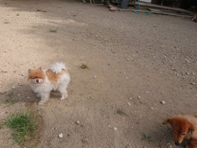 f:id:roukenhome-ann:20190814112210j:plain