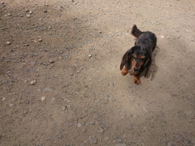 f:id:roukenhome-ann:20190814112256j:plain