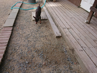f:id:roukenhome-ann:20190814112319j:plain