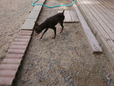 f:id:roukenhome-ann:20190814112330j:plain