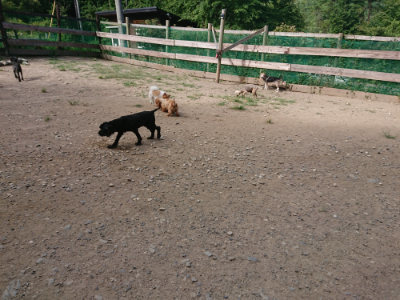 f:id:roukenhome-ann:20190814113307j:plain