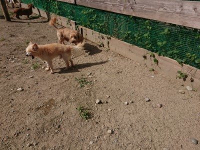 f:id:roukenhome-ann:20190814113513j:plain f:id:roukenhome-ann:20190814113513j:plain