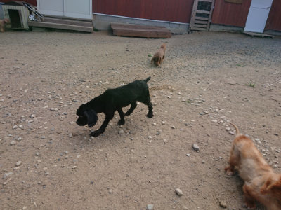 f:id:roukenhome-ann:20190814113523j:plain f:id:roukenhome-ann:20190814113523j:plain