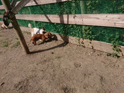 f:id:roukenhome-ann:20190814113541j:plain f:id:roukenhome-ann:20190814113541j:plain
