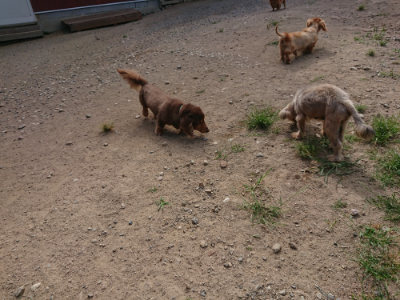f:id:roukenhome-ann:20190814113548j:plain f:id:roukenhome-ann:20190814113548j:plain