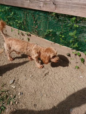 f:id:roukenhome-ann:20190814113555j:plain f:id:roukenhome-ann:20190814113555j:plain