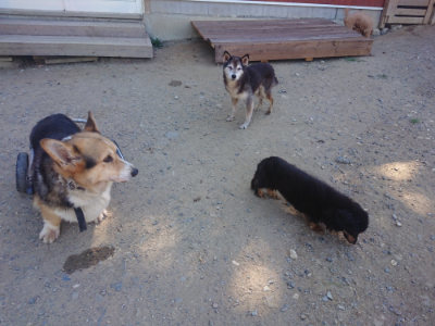 f:id:roukenhome-ann:20190814113640j:plain f:id:roukenhome-ann:20190814113640j:plain