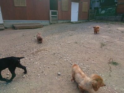 f:id:roukenhome-ann:20190814113645j:plain f:id:roukenhome-ann:20190814113645j:plain