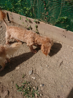 f:id:roukenhome-ann:20190814113709j:plain f:id:roukenhome-ann:20190814113709j:plain