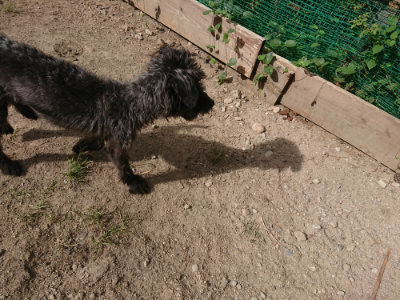 f:id:roukenhome-ann:20190814113715j:plain f:id:roukenhome-ann:20190814113715j:plain