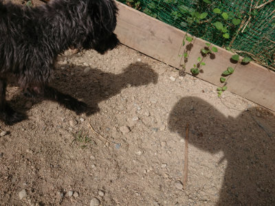 f:id:roukenhome-ann:20190814113724j:plain f:id:roukenhome-ann:20190814113724j:plain