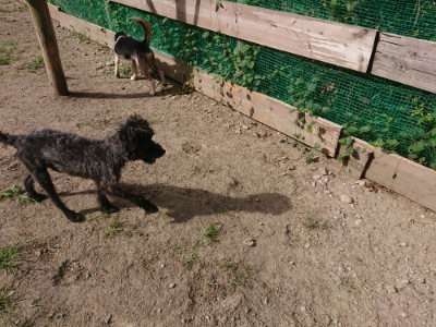 f:id:roukenhome-ann:20190814113800j:plain f:id:roukenhome-ann:20190814113800j:plain