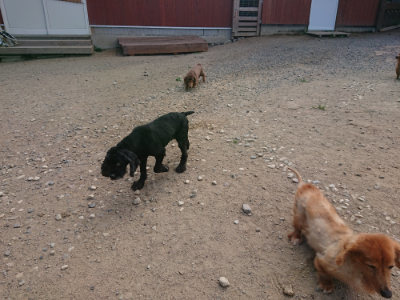 f:id:roukenhome-ann:20190814113814j:plain f:id:roukenhome-ann:20190814113814j:plain